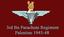 3 Para Palestine 1945-48