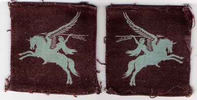 Orginal Pegasus flashes