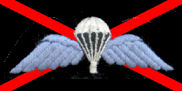 10 Para Wings