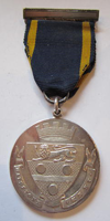 Maidstone Typhoid Medal 