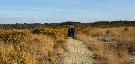 On the way up to Mile Hill