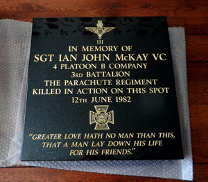 Sgt Ian McKay. VC