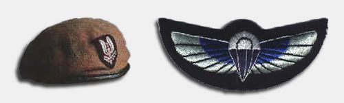 [ Beret & Badge ]